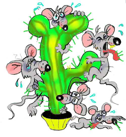 mouse_cactus.jpg